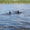 Photo 09